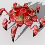 Critter1