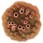 NestSprite