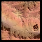 Mars_ValleyNest_Top_v001